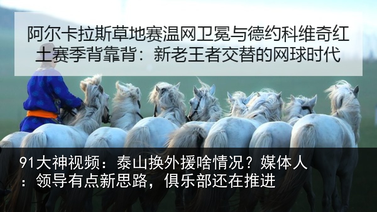 91大神视频:泰山换外援啥情况?媒体人:领导有点新思路,俱乐部还在推进
