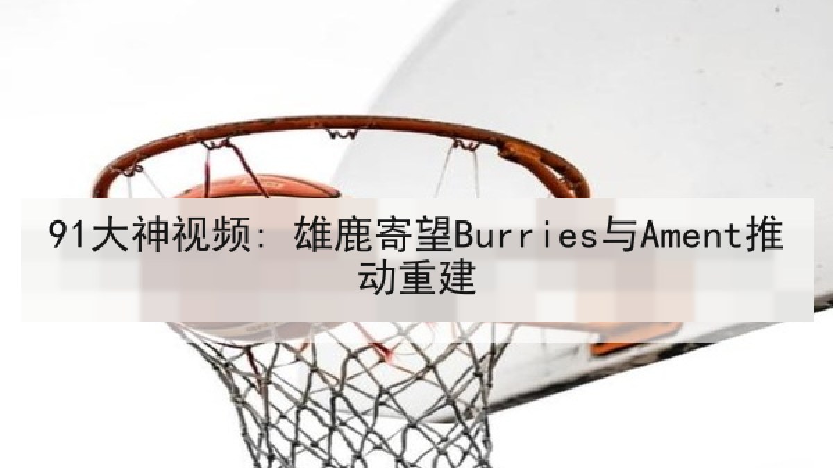 91大神视频: 雄鹿寄望Burries与Ament推动重建