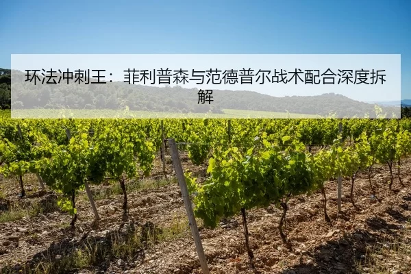 环法冲刺王：菲利普森与范德普尔战术配合深度拆解