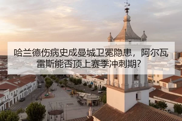 ha-lan-de-shang-bing-shi-cheng-man-cheng-wei-mian-yin-huan-a-er-wa-lei-si-neng-fou-ding-shang-sai-ji-chong-ci-qi-2-396.jpg