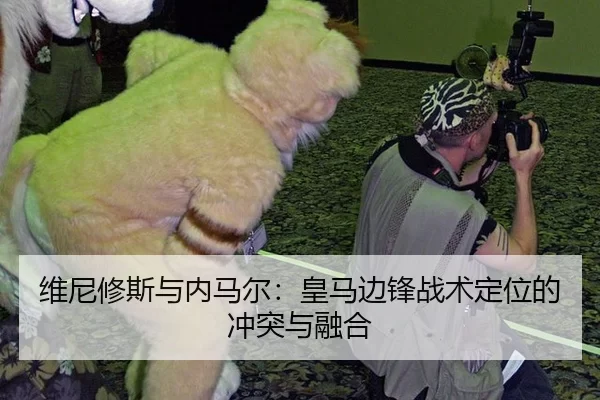 wei-ni-xiu-si-yu-nei-ma-er-huang-ma-bian-feng-zhan-shu-ding-wei-de-chong-tu-yu-rong-he-2-806.jpg